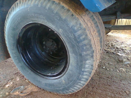 ขายCHETAH ขายCHETAH