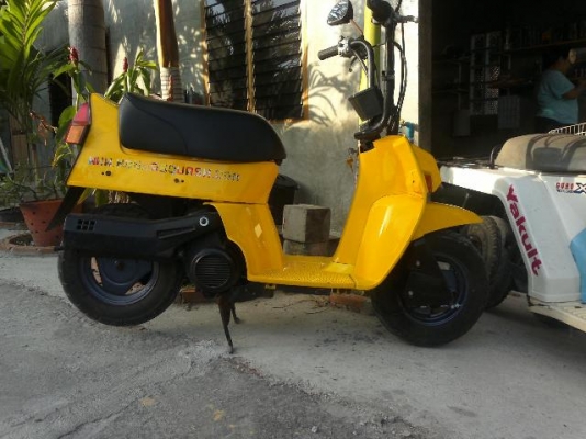 ขาย Honda Squash 50