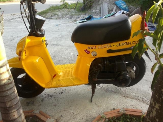 ขาย Honda Squash 50