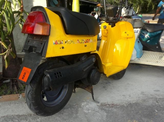 ขาย Honda Squash 50