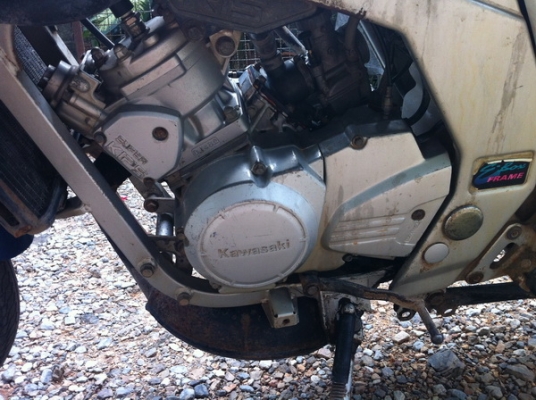 ขาย SERPICO SS ถูกๆคับ