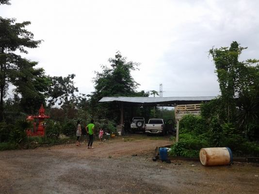 ISUZU FVZ 195 หัวเดิม เครื่องเดิม คัซซีสวยตลอดแนว  คุณเก่งและครอบครัว  สมาชิกจาก  นครปฐม  มัดจำแล้วจ๊ะ