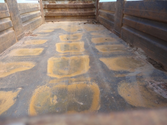 ISUZU FVZ 195 หัวเดิม เครื่องเดิม คัซซีสวยตลอดแนว  คุณเก่งและครอบครัว  สมาชิกจาก  นครปฐม  มัดจำแล้วจ๊ะ