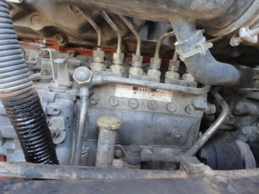 ISUZU FVZ 195 หัวเดิม เครื่องเดิม คัซซีสวยตลอดแนว  คุณเก่งและครอบครัว  สมาชิกจาก  นครปฐม  มัดจำแล้วจ๊ะ