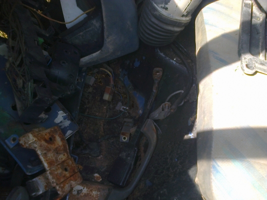 ขายหัว NPR ขายหัว NPR