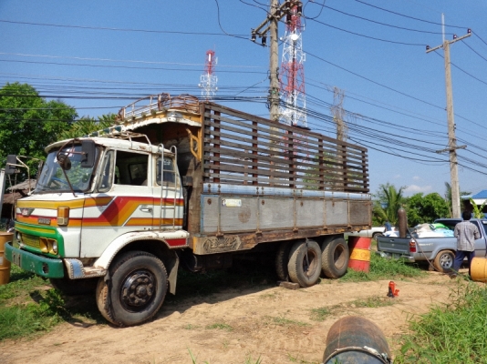 ต้องการขายกระบะ 10 ล้อ ไม้ทั้งลูก ต้องการขายกระบะ 10 ล้อ ไม้ทั้งลูก