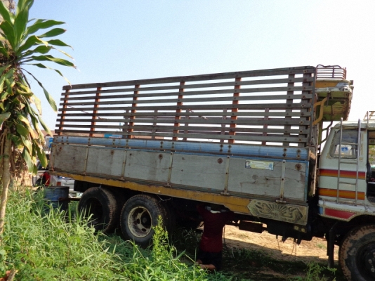 ต้องการขายกระบะ 10 ล้อ ไม้ทั้งลูก