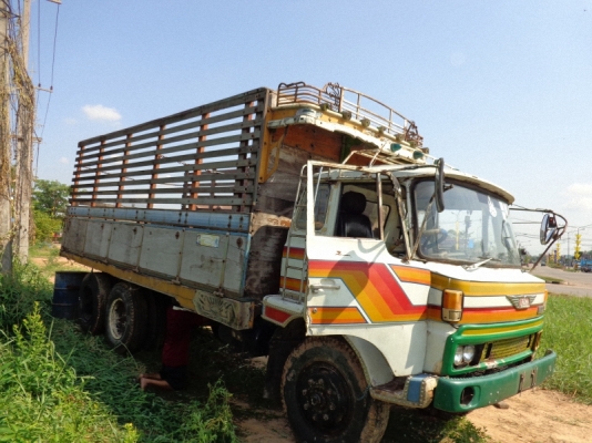 ต้องการขายกระบะ 10 ล้อ ไม้ทั้งลูก ต้องการขายกระบะ 10 ล้อ ไม้ทั้งลูก