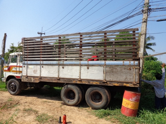 ต้องการขายกระบะ 10 ล้อ ไม้ทั้งลูก ต้องการขายกระบะ 10 ล้อ ไม้ทั้งลูก