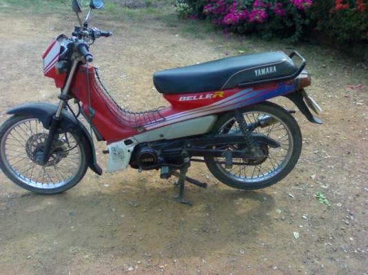 เบลอาร์ปี34