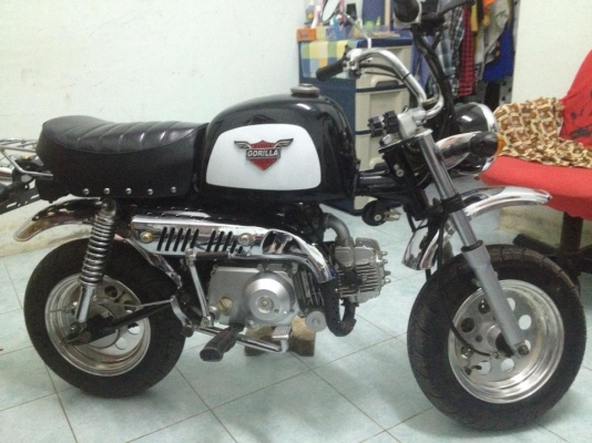 ลดราคาแล้วจร้า กอลิล่า RYUKA มีทะเบียนพร้อมโอน