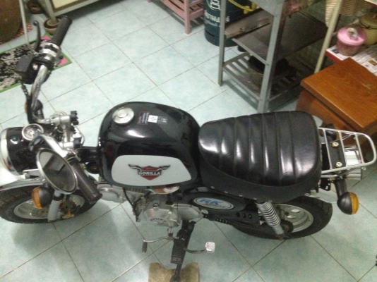 ลดราคาแล้วจร้า กอลิล่า RYUKA มีทะเบียนพร้อมโอน