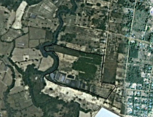 ขาย ที่นาและสวนป่า ไร่ละ 250,000 อยู่ที่ กม.18 และ กม.36 สายสุรินทร์-สังขะ จ.สุรินทร์