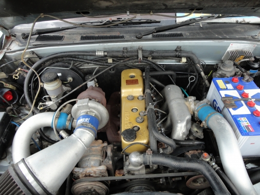 ขายมังกรตัวแรง