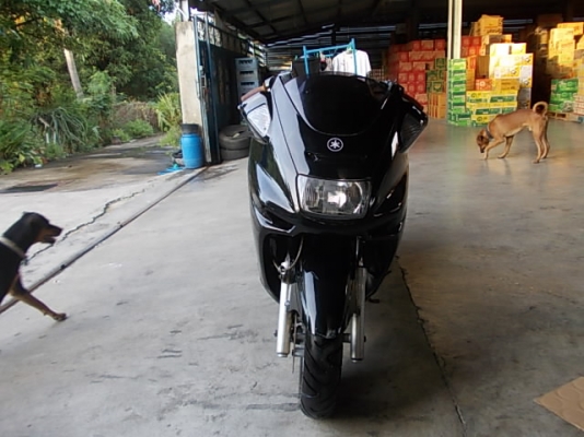 yamaha majesty 250cc (ปี1999) ประกอบใหม่ อินวอยส์ออกชื่อผู้ซื้อ yamaha majesty 250cc (ปี1999) ประกอบใหม่ อินวอยส์ออกชื่อผู้ซื้อ