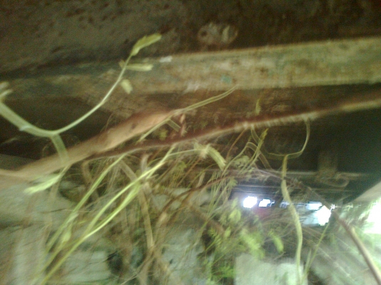 ขาย กระบะพื้นเรียบ 10 ล้อ ยาว 6 เมตร ขายถูกๆๆ