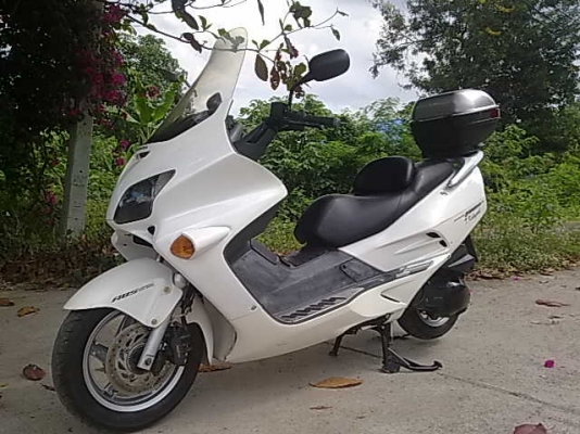 Honda  FORZA 250cc