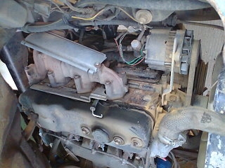 ขาย ISUZU TL ดั๊มเกษตร เครื่อง 115 ขาย ISUZU TL ดั๊มเกษตร เครื่อง 115