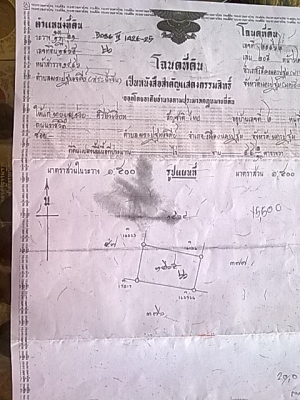 ในตัวเมือง เขตเทศบาล