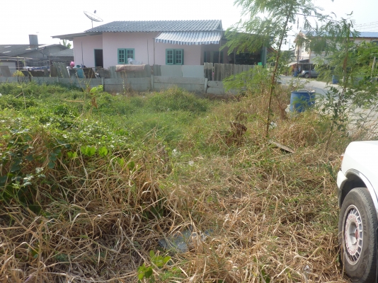 ขายที่ดิน 77 ตารางวา ที่มหาชัย