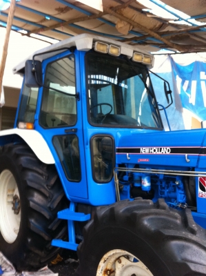 ขาย FORD เสื้อลาย