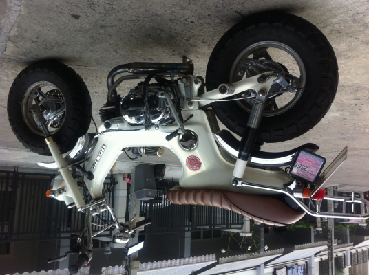 ชาลีทะเบียนแท้พร้อมโอน