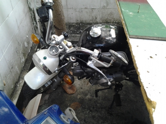 มั้งกี้ มั้งกี้