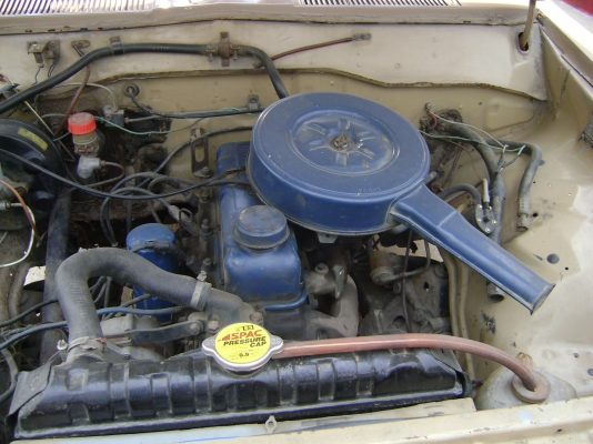 รถนิสสัน ช้างเหยียบ รถนิสสัน ช้างเหยียบ