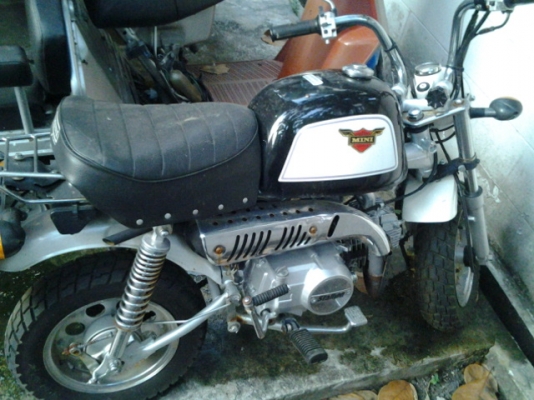 มั้งกี้