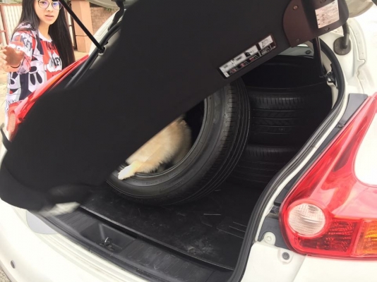 ยาง Goodyear 215 55 17 ปี16 ดอกเต็ม ไม่มีปะ ใช้ยาว ราคาไม่แพง