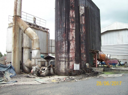 ขาย plant ผสมยางมะตอย ขาย plant ผสมยางมะตอย