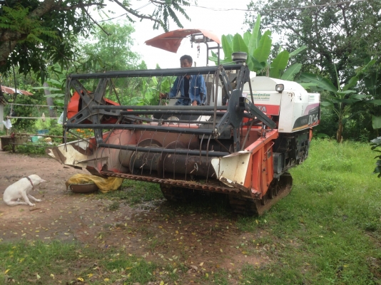 ขายด่วน KUBOTA DC60 รถเกี่ยวกระสอบ รถปี53 สภาพพร้อมใช้งาน เครื่องปั้มพร้อมทำงาน โซ่ช่วงล่างดี เอกสารเล่มทะเบียน สนใจสอบถาม 093-0764943  088-3223272 k ตั้ม