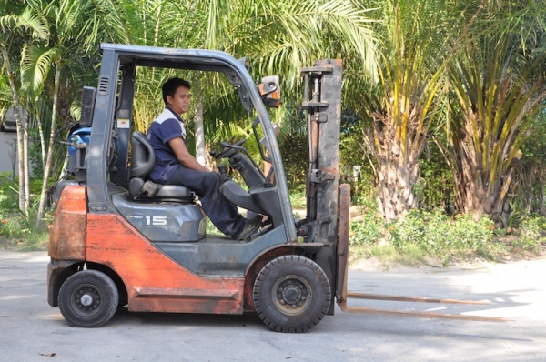 ขายFORKLIFT TOTOTA รุ่น8FG15รุ่นใหม่ล่าสุด เสา3เมตร(1.5ตัน) สวยเดิมจากญี่ปุ่น ยังไม่เคยใช้ในไทย 175,000เท่านั้น!! ขายFORKLIFT TOTOTA รุ่น8FG15รุ่นใหม่ล่าสุด เสา3เมตร(1.5ตัน) สวยเดิมจากญี่ปุ่น ยังไม่เคยใช้ในไทย 175,000เท่านั้น!!