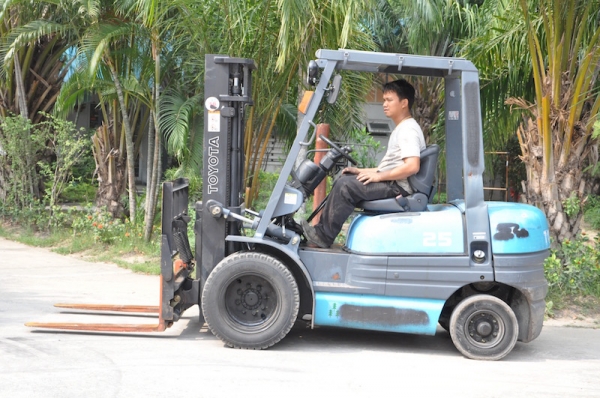 ขายFORKLIFT TOTOTA รุ่น6FD25(2.5ตัน งาเท ล้อหน้าคู่)ดีเซล2Z สวยเดิมจากญี่ปุ่น ยังไม่เคยใช้ในไทย 365,000เท่านั้น!! ขายFORKLIFT TOTOTA รุ่น6FD25(2.5ตัน งาเท ล้อหน้าคู่)ดีเซล2Z สวยเดิมจากญี่ปุ่น ยังไม่เคยใช้ในไทย 365,000เท่านั้น!!