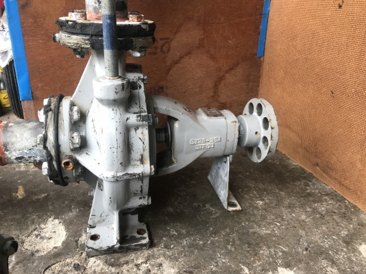 ขายหัวปั้มน้ำหอยโข่ง Teral ขนาดเข้า 3นิ้ว ออก 2.5นิ้ว ใบพัดทองเหลือง สภาพสวยมาก หมุนนิ่ม พร้อมใช้งาน ของเดิมต่อท่อเข้า 5นิ้ว ออก 5นิ้ว มี 2ตัวครับ