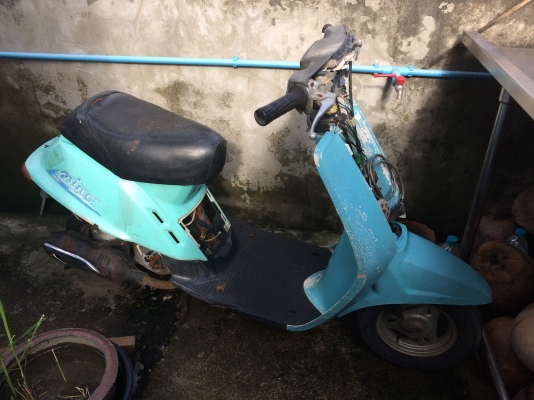 YAMAHA MINT50