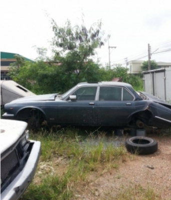 จากั่ว 50000