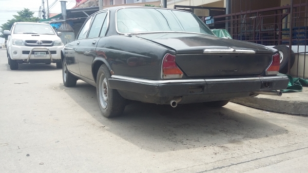 จากั่ว 50000 จากั่ว 50000