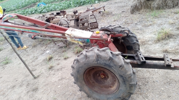 ขายตัวรุ้งเพชร ตัวสภาพเดิมๆยังไม่เคยเปิดเลยครับ