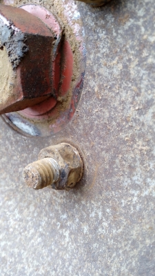 ขายตัวรุ้งเพชร ตัวสภาพเดิมๆยังไม่เคยเปิดเลยครับ ขายตัวรุ้งเพชร ตัวสภาพเดิมๆยังไม่เคยเปิดเลยครับ