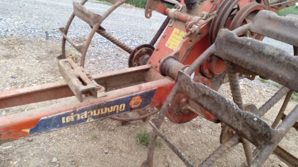 ขายตัวเต่าสวมมงกุฏ สภาพดีพร้อมใช้งานครับ