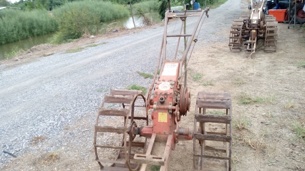 ขายตัวเต่าสวมมงกุฏ สภาพดีพร้อมใช้งานครับ ขายตัวเต่าสวมมงกุฏ สภาพดีพร้อมใช้งานครับ