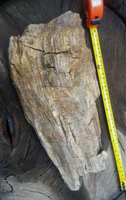 ไม้กลายเป็นหิน มีขนาดใหญ่ น้ำหนักเยอะมาก มีตาไม้ มีลายเส้นไม้ชัดเจน อายุไม่สามารถประมาณได้ มีความทนสิทธิ์ในตัว บางท่านนำไปแกะสลักทำพระเครื่อง บางท่านนำไปล้างเอาน้ำไว้เพื่อทำน้ำมนต์ พิจารณาเอาครับ