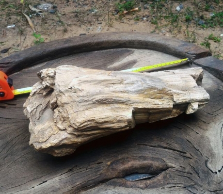 ไม้กลายเป็นหิน มีขนาดใหญ่ น้ำหนักเยอะมาก มีตาไม้ มีลายเส้นไม้ชัดเจน อายุไม่สามารถประมาณได้ มีความทนสิทธิ์ในตัว บางท่านนำไปแกะสลักทำพระเครื่อง บางท่านนำไปล้างเอาน้ำไว้เพื่อทำน้ำมนต์ พิจารณาเอาครับ