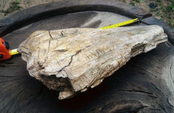 ไม้กลายเป็นหิน มีขนาดใหญ่ น้ำหนักเยอะมาก มีตาไม้ มีลายเส้นไม้ชัดเจน อายุไม่สามารถประมาณได้ มีความทนสิทธิ์ในตัว บางท่านนำไปแกะสลักทำพระเครื่อง บางท่านนำไปล้างเอาน้ำไว้เพื่อทำน้ำมนต์ พิจารณาเอาครับ