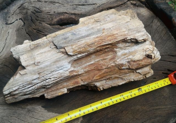 ไม้กลายเป็นหิน มีขนาดใหญ่ น้ำหนักเยอะมาก มีตาไม้ มีลายเส้นไม้ชัดเจน อายุไม่สามารถประมาณได้ มีความทนสิทธิ์ในตัว บางท่านนำไปแกะสลักทำพระเครื่อง บางท่านนำไปล้างเอาน้ำไว้เพื่อทำน้ำมนต์ พิจารณาเอาครับ