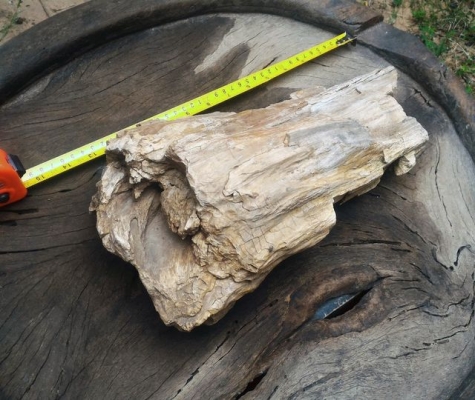 ไม้กลายเป็นหิน มีขนาดใหญ่ น้ำหนักเยอะมาก มีตาไม้ มีลายเส้นไม้ชัดเจน อายุไม่สามารถประมาณได้ มีความทนสิทธิ์ในตัว บางท่านนำไปแกะสลักทำพระเครื่อง บางท่านนำไปล้างเอาน้ำไว้เพื่อทำน้ำมนต์ พิจารณาเอาครับ