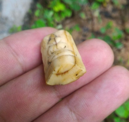 เครื่องรางโบราณ E09 แกะสลักด้วยมือล้วน ด้านหน้ามีคราบเดิม ด้านหลังจารยันต์ มีอายุมากกว่า 80ปี แต่เดิมเลี่ยมกรอบกันน้ำไว้ เนื้อสวยของดีดูง่าย