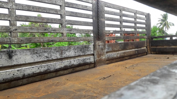 ขาย 45.000บาทกระบะ 10ล้อ ร็อกกี้  ช่วงยาว6.80เมตร สูง170ม, สภาพดีไม่มีผุ