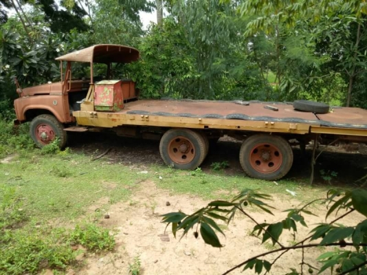 เทนเลอร์หัวยาว